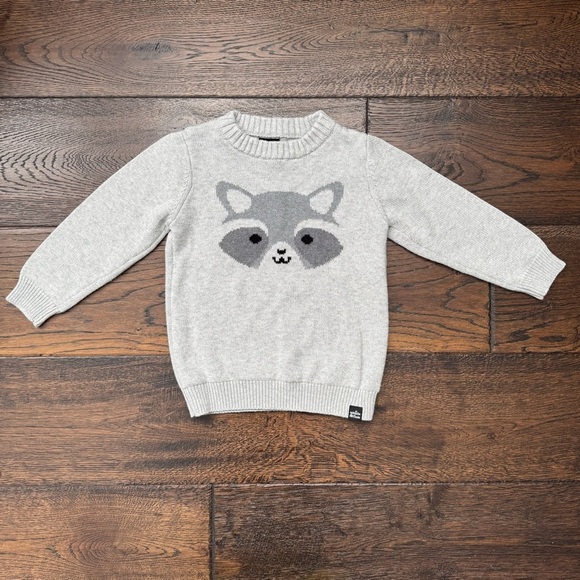 Whistle & Flute - Gray Raccoon Kids Sweater and T-Shirt Set - Picture 2 of 8
